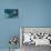 Spotted Eagle Ray (Aetobatus Narinari).-Stephen Frink-Premier Image Canvas displayed on a wall