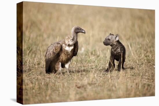 Spotted Hyena Pup and Whitebacked Vulture-Paul Souders-Premier Image Canvas