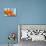 Sprawling Orange-Heidi Westum-Premier Image Canvas displayed on a wall
