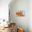 Sprawling Orange-Heidi Westum-Premier Image Canvas displayed on a wall