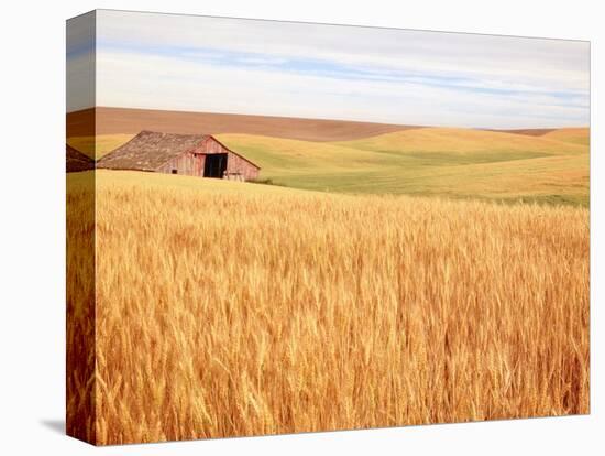 Sprawling Wheat Field-Terry Eggers-Premier Image Canvas