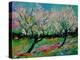 Spring 452121-Pol Ledent-Stretched Canvas