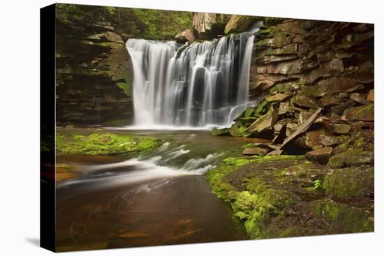 Spring at Elakala Falls-Michael Blanchette-Premier Image Canvas