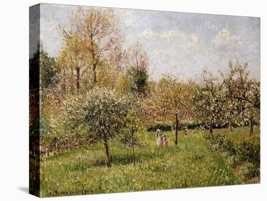 Spring at Eragny; Printemps a Eragny, 1900-Camille Pissarro-Premier Image Canvas