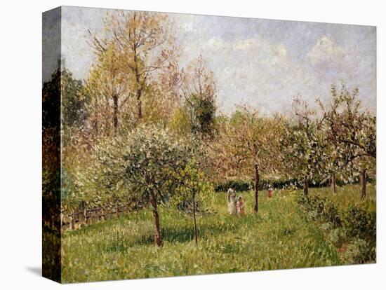 Spring at Eragny-Camille Pissarro-Premier Image Canvas