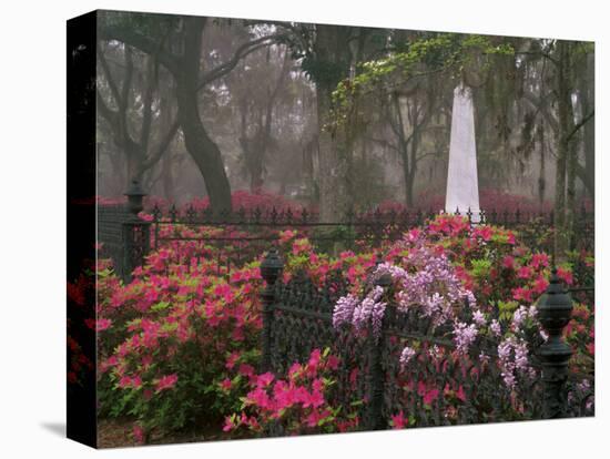 Spring Azaleas at Historic Bonaventure Cemetery, Savannah, Georgia-Joanne Wells-Premier Image Canvas