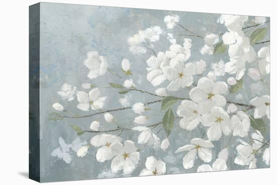 Spring Beautiful Gray-James Wiens-Stretched Canvas