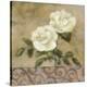 Spring Beauty-Onan Balin-Stretched Canvas