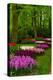 Spring Blossom of Hyacinth-neirfy-Premier Image Canvas