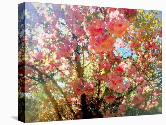 Spring Blossom Sky, 2018,-Helen White-Premier Image Canvas