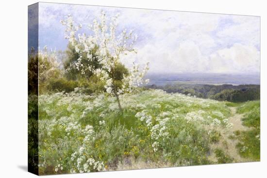 Spring Blossom-Clayton Adams-Premier Image Canvas