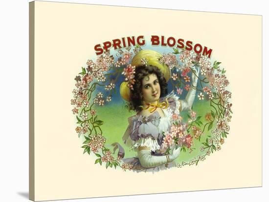 Spring Blossom-Witsch & Schmitt Lihto.-Stretched Canvas