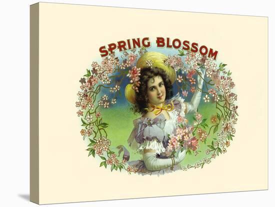 Spring Blossom-Witsch & Schmitt Lihto.-Stretched Canvas