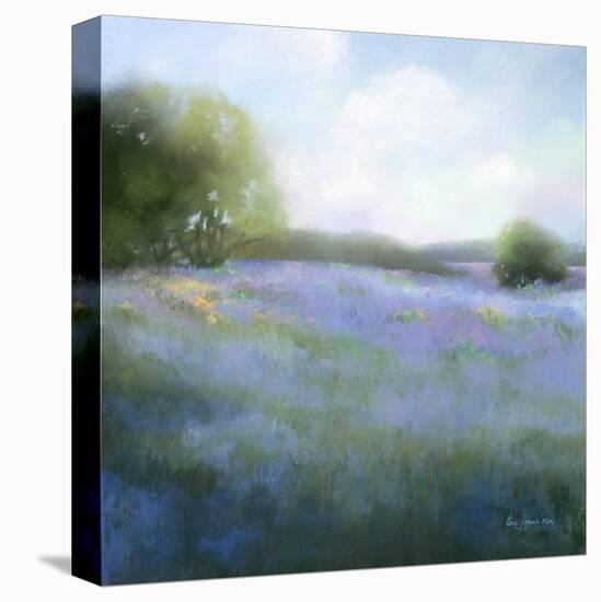 Spring Blues-Teri Jonas-Premier Image Canvas