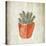 Spring Cactus 2-Kimberly Allen-Stretched Canvas
