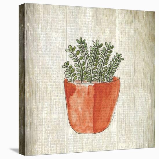 Spring Cactus 2-Kimberly Allen-Stretched Canvas