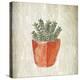 Spring Cactus 2-Kimberly Allen-Stretched Canvas