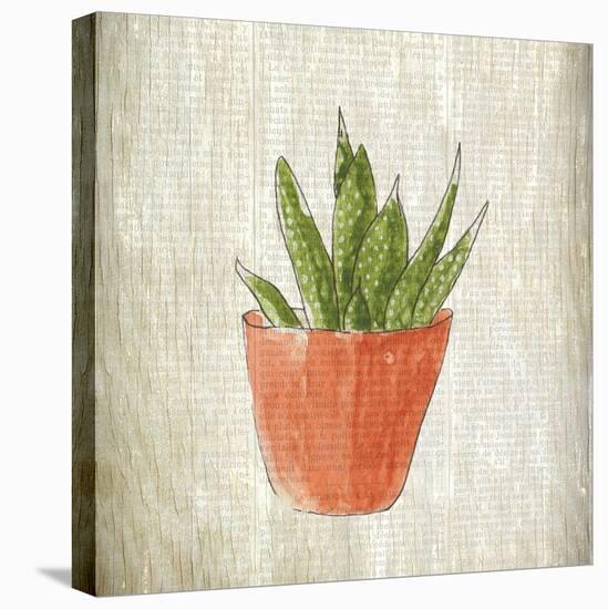 Spring Cactus 3-Kimberly Allen-Stretched Canvas