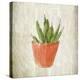 Spring Cactus 3-Kimberly Allen-Stretched Canvas