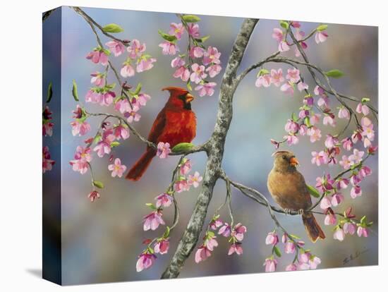 Spring Cardinals-Sarah Davis-Premier Image Canvas