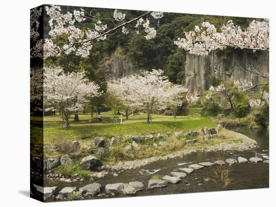 Spring Cherry Blossoms Near River with Stepping Stones, Kagoshima Prefecture, Kyushu, Japan-Christian Kober-Premier Image Canvas