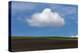 Spring Cloud-Trent Foltz-Stretched Canvas