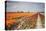 Spring Clouds over Fields of Multicolored Tulips and Windmill, Netherlands-Roberto Moiola-Premier Image Canvas