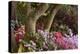 Spring Colors at Crystal Springs Rhododendron Garden, Oregon, USA-Michel Hersen-Premier Image Canvas