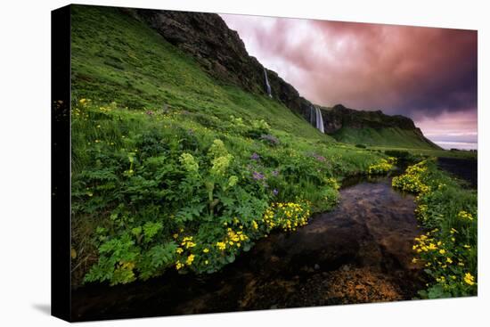 Spring Drama and Wildflowers, Seljalandsfoss, Iceland-Vincent James-Premier Image Canvas