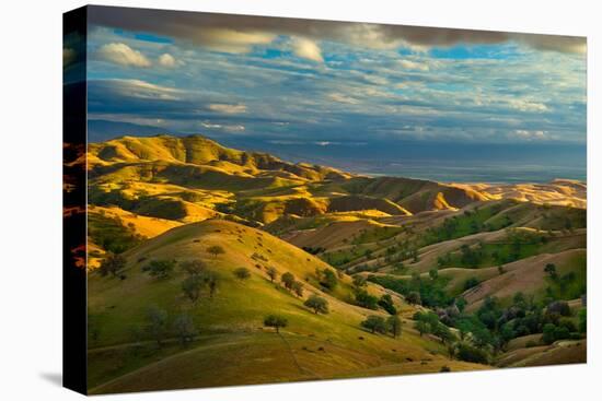 Spring Exodus-Mark Geistweite-Premier Image Canvas