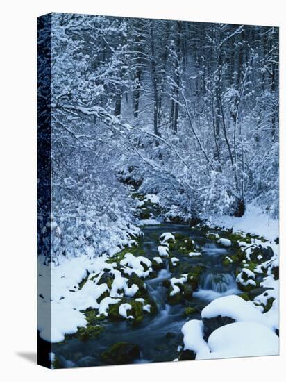 Spring-Fed Creek in Winter, Wasatch-Catch National Forest, Utah, USA-Scott T^ Smith-Premier Image Canvas