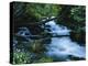 Spring-Fed Stream in Spring Hollow, Wasatch-Cache National Forest, Utah, USA-Scott T. Smith-Premier Image Canvas
