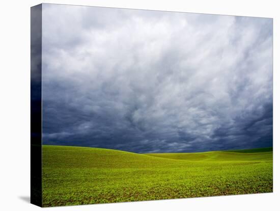 Spring Field of Peas with Storm Coming-Terry Eggers-Premier Image Canvas
