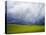 Spring Field of Peas with Storm Coming-Terry Eggers-Premier Image Canvas