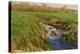 Spring Fields-Michael Budden-Premier Image Canvas