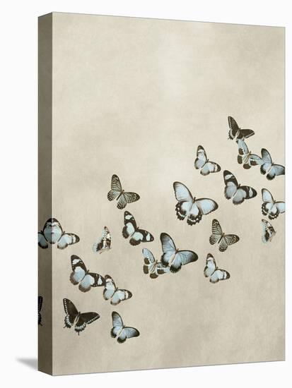 Spring Flight I-Deborah Devellier-Stretched Canvas