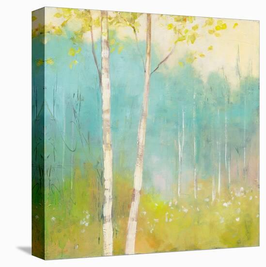 Spring Fling I-Julia Purinton-Stretched Canvas