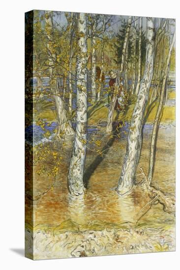 Spring Flood-Carl Larsson-Premier Image Canvas