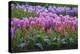 Spring Flower Garden with Tulips and Hyacinth-Anna Miller-Premier Image Canvas