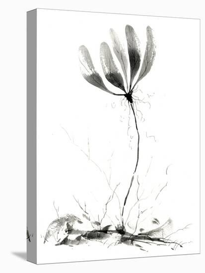 Spring Flower-null-Premier Image Canvas