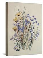 Spring Flowers, 19th Century-Caroline Louisa Meredith-Premier Image Canvas