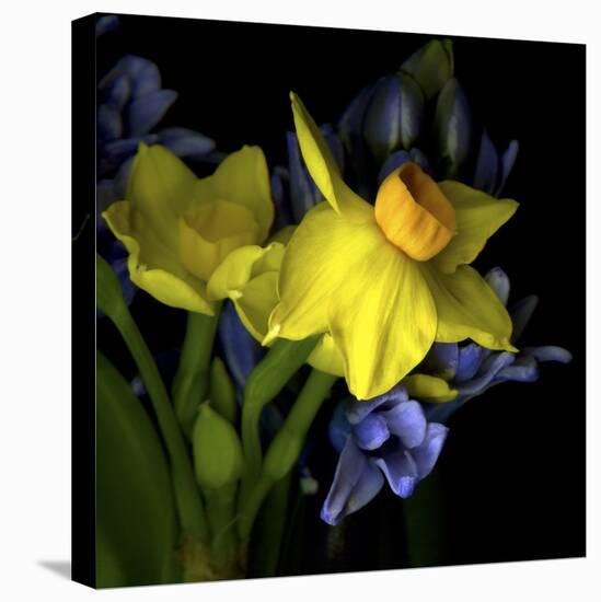 Spring Flowers 1-Magda Indigo-Stretched Canvas