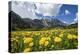 Spring Flowers and Green Meadows, Bregaglia Valley, Engadine-Roberto Moiola-Premier Image Canvas