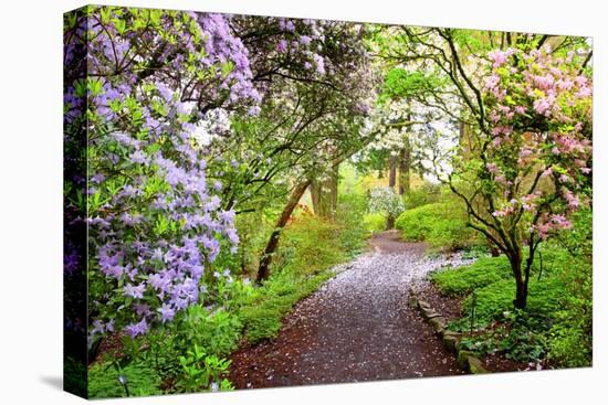 Spring Flowers in Crystal Springs Rhododendron Garden, Portland, Oregon, USA-Craig Tuttle-Premier Image Canvas