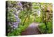 Spring Flowers in Crystal Springs Rhododendron Garden, Portland, Oregon, USA-Craig Tuttle-Premier Image Canvas