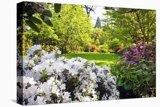 Spring Flowers in Crystal Springs Rhododendron Garden, Portland, Oregon, USA-Craig Tuttle-Premier Image Canvas