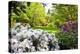 Spring Flowers in Crystal Springs Rhododendron Garden, Portland, Oregon, USA-Craig Tuttle-Premier Image Canvas