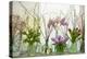 Spring Flowers in Glass Bottles III-Cora Niele-Premier Image Canvas