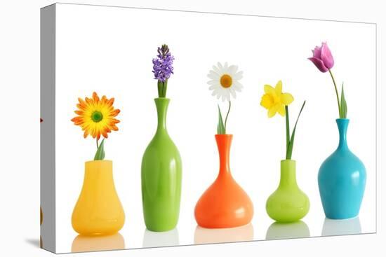 Spring Flowers In Vases Isolated On White-Acik-Stretched Canvas