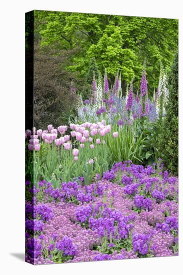 Spring Flowers, Kennett Square, Pennsylvania, Usa-Lisa S. Engelbrecht-Premier Image Canvas